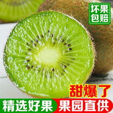 新品速递 引领健康生活，新鲜水果批发全攻略