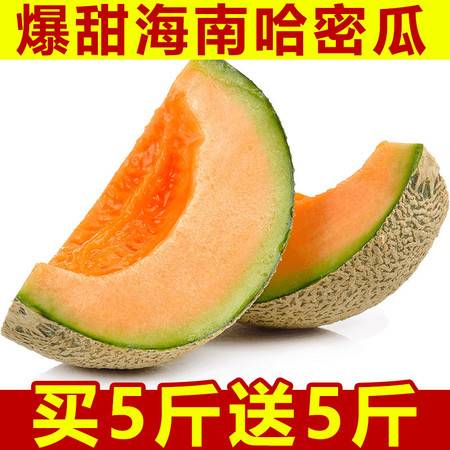 海南哈密瓜 现摘直发，甜蜜直达