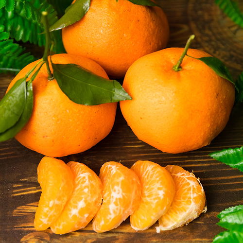 春见耙耙柑 川蜀之珍，当季鲜果的甜蜜馈赠