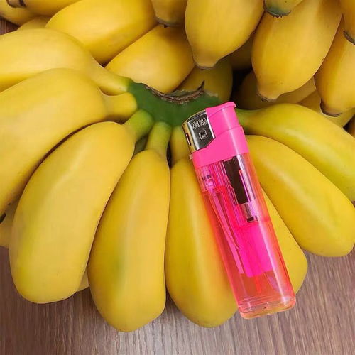 贵州糯米香蕉 一咬难忘的甜美农业之旅